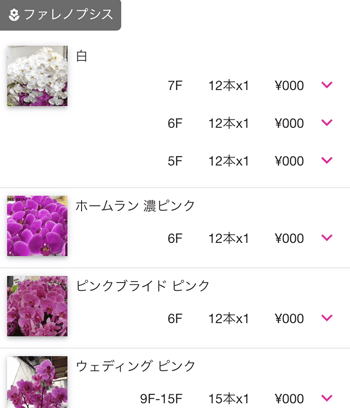 提案書画面拡大